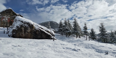 昆明轿子山雪后初霁   美不胜收【组图】