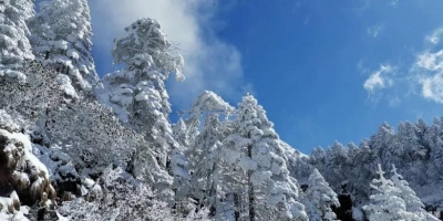 冬季旅游如何“火”一把？ 还要靠产品
