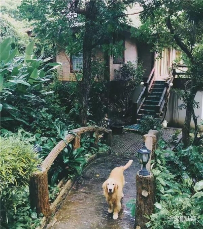宿在清迈山见别墅 让“住在森林里”的美梦照进现实