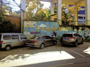 长虫山生态公园风景林上山道路 路两边停满车 行人被逼走中间