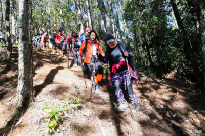 首届哀牢山丛林探索·褚橙之路圆满举行 来自全国的企业家参加徒步盛典 