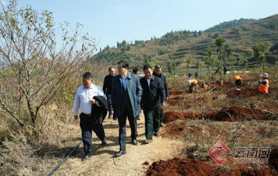 陈豪在玉溪市督促检查抚仙湖保护治理工作时强调：坚持保护第一治理为要 绘就最新最美画卷