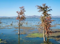 【就爱去江川】星云湖生态湿地公园