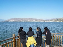 【就爱去江川】星云湖生态湿地公园