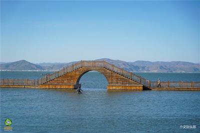 【就爱去江川】星云湖生态湿地公园