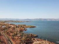 【就爱去江川】星云湖生态湿地公园