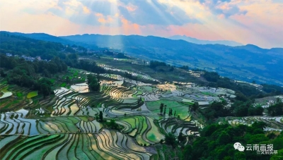 【就爱去红河】用一张张美图揭开红河哈尼梯田的神秘面纱，没到过的游客看过来