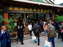 云南省旅游景区协会会员大会景区代表走进告庄西双景考察