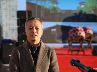 巍山古城特色小镇南诏王宫和古院落项目启动仪式现场