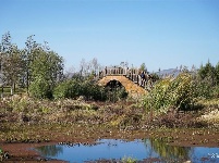 【就爱去江川】星云湖生态湿地公园