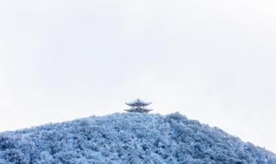 版纳花如霞，丽江雪似花！大云南真是太美好了【组图】