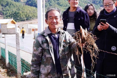 丽江鲁甸乡民端起“绿饭碗”享受“生态红利”