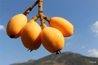 【欢度元旦 畅游红河】红河州这些精彩纷呈的元旦活动，不容错过