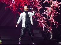赏名剧名段 感受滇腔滇韵 
2020年云南省新年戏曲晚会在昆明举行