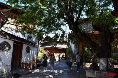 云南内外联动整治旅游市场秩序，14省市响应处置低价游产品！