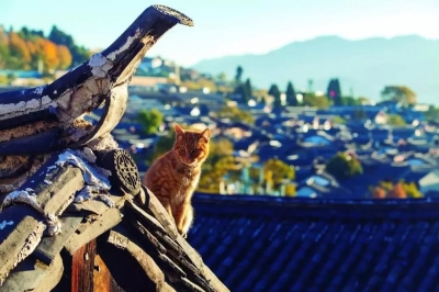 丽江，你变了！