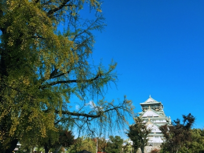 日本泡汤  静享诗意氤氲的温泉时光