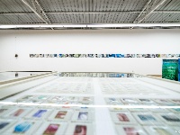 【图集】阡陌纵横，自由呼吸 “阡陌——白雪娟个展”