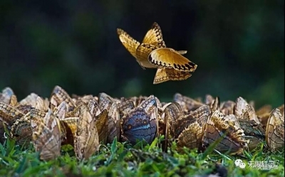 收好这份出游宝典，遇见绝美红河