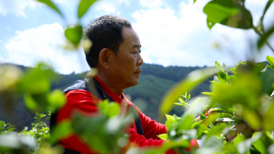 一个本土企业的初心与责任——访昆明诺仕达企业（集团）党委书记、七彩云南品牌创始人任怀灿