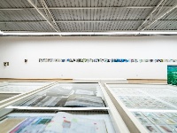 【图集】阡陌纵横，自由呼吸 “阡陌——白雪娟个展”