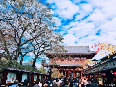 日本2019签证发放量创新高 中国人占8成左右