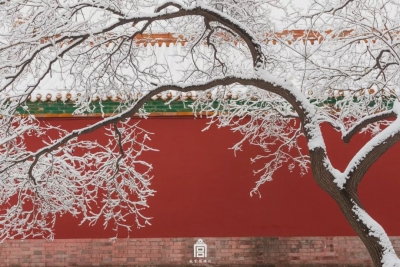 那些刷屏的故宫美照，原来是他拍的
