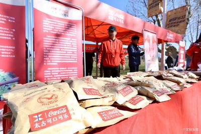 派年画、送鸥粮 云南太古可口可乐爱鸥护鸥在行动
