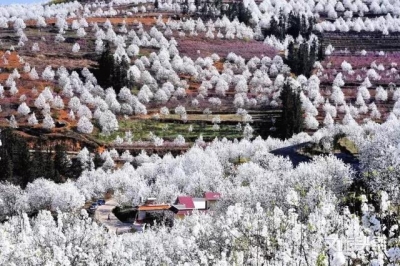 收好这份出游宝典，遇见绝美红河