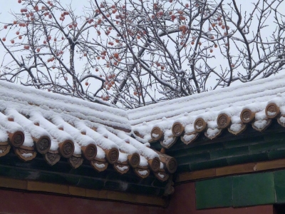  “天下第一野导”马未都讲北京景区语音导览在高德上线
