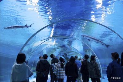 中国首家湄公河流域淡水鱼水族馆在西双版纳开业