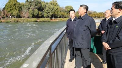 习近平察看滇池生态湿地