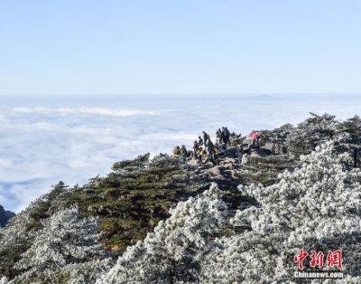 黄山云海雾凇相互映衬宛如仙境