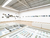 【图集】阡陌纵横，自由呼吸 “阡陌——白雪娟个展”