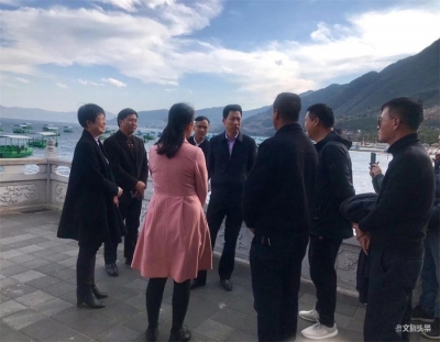 玉溪市副市长李劲松对澄江县景区开展春节、“两会”期间安全生产督查