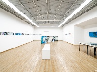 【图集】阡陌纵横，自由呼吸 “阡陌——白雪娟个展”