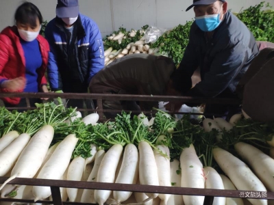 云南：铁路巧装满载只为战“疫”白衣天使吃上新鲜菜