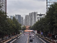 防疫日记 | 今天你复工了吗？