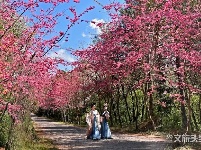 图集 | 漫步花海 享受磨盘山无限春光