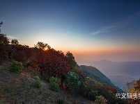 图集 | 漫步花海 享受磨盘山无限春光