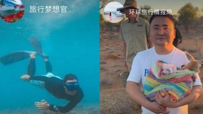 OTA搭台，“云旅游”悄然兴起，来干这些事儿，足不出户也很快乐！