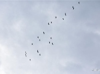 防疫日记 | 今天你复工了吗？