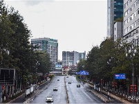防疫日记 | 今天你复工了吗？