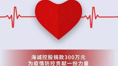 助力抗击疫情 海诚控股捐款300万元