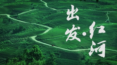 视频 | 就爱去红河 春暖花开，我在红河等你！