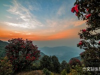 图集 | 漫步花海 享受磨盘山无限春光