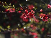 图集 | 盘龙江春光