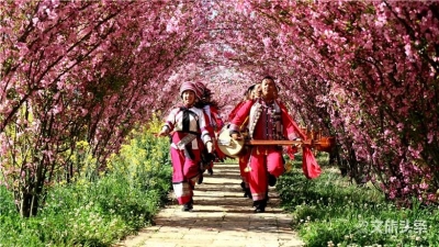 图集 | 鲜花朵朵开 石林好春光