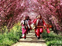 图集 | 鲜花朵朵开 石林好春光