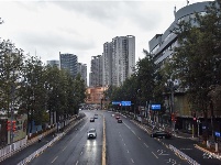 防疫日记 | 今天你复工了吗？
